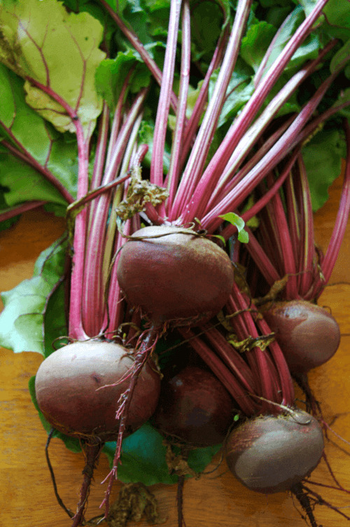 Beetroot