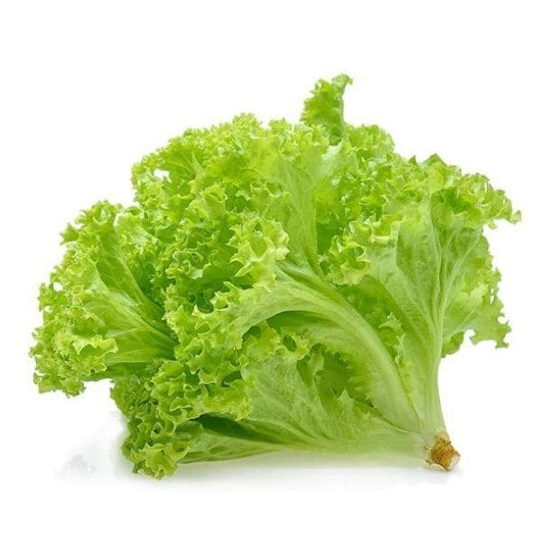 Lettuce