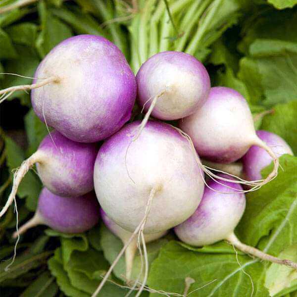 Turnips